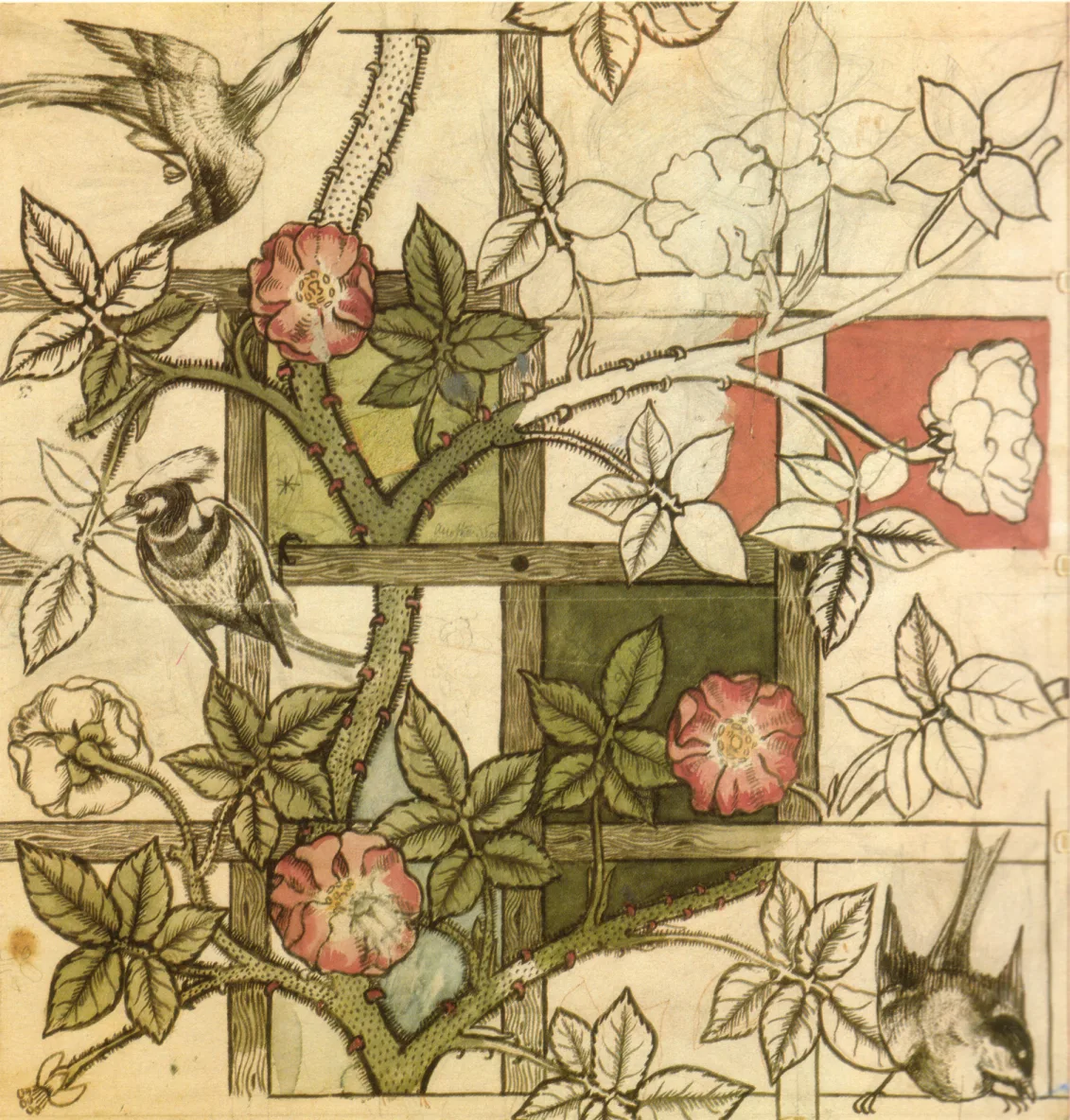 Morris' ontwerptekening voor het behang Trellis uit 1862: rozen langs een houten latwerk met een zittende vogel, deels ingekleurd en deels nog in lijnen.